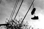 <em>Shoes</em><br>Nov 2006<br><br>I was going around Clinton one day looking for pictures to take for my CMU portfolio (back when I thought I was gonna major in architecture) and I found these shoes hanging on a telephone line so I took this shot. Looking back on it, I really regret making it black and white, if I recall correctly, the colors were really nice. But back then, I was slightly obsessed with B&W. <br><br><br><br>Click <a href='http://www.andrew.cmu.edu/user/aczhang/photography/shoes.jpg' target='_blank'>here</a> to go directly to the image (best quality).